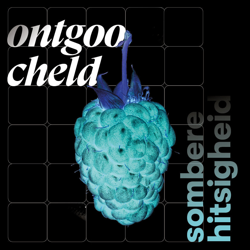 Boek - Sombere hitsigheid: Ontgoocheld