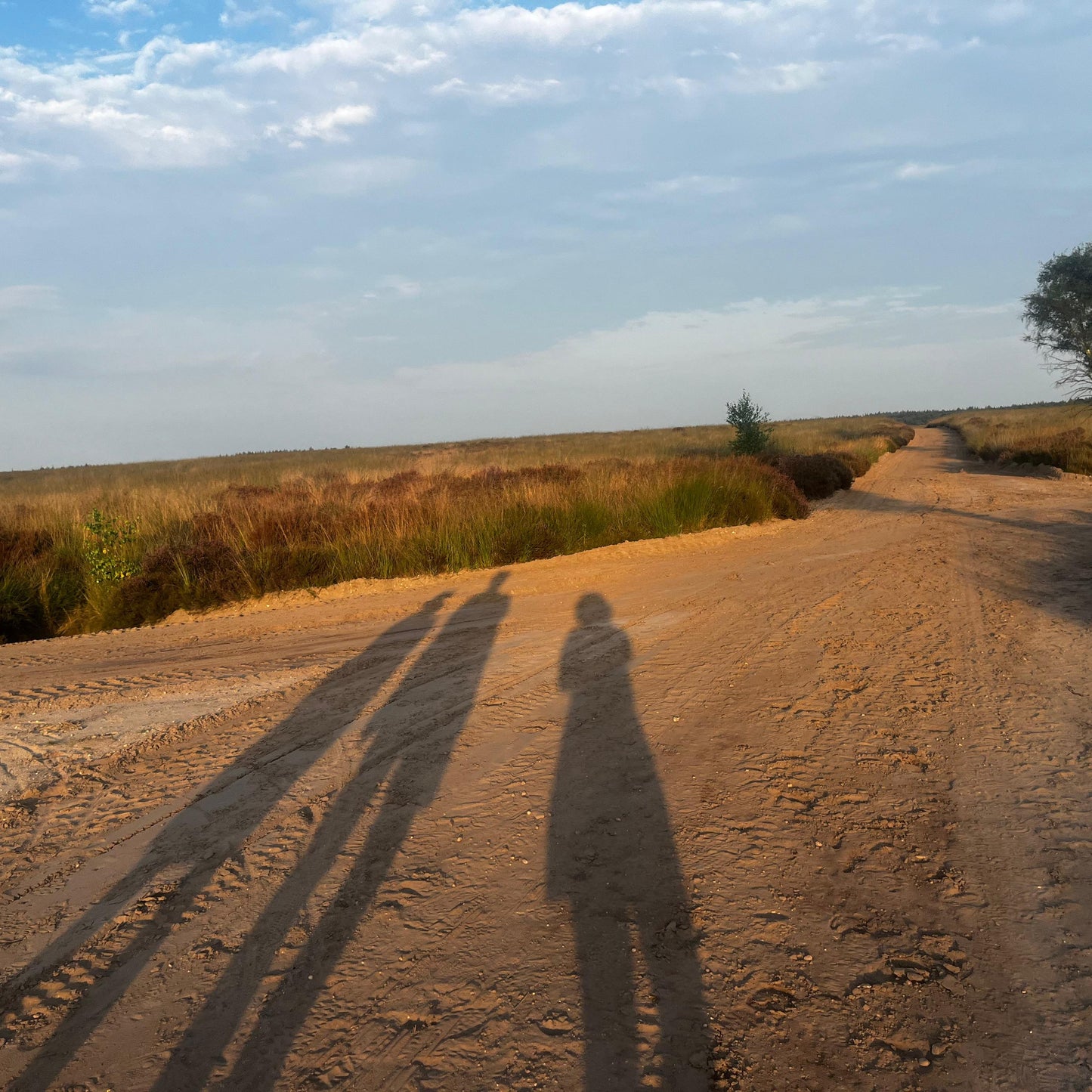 Walk+talk boswandeling met tomson darko