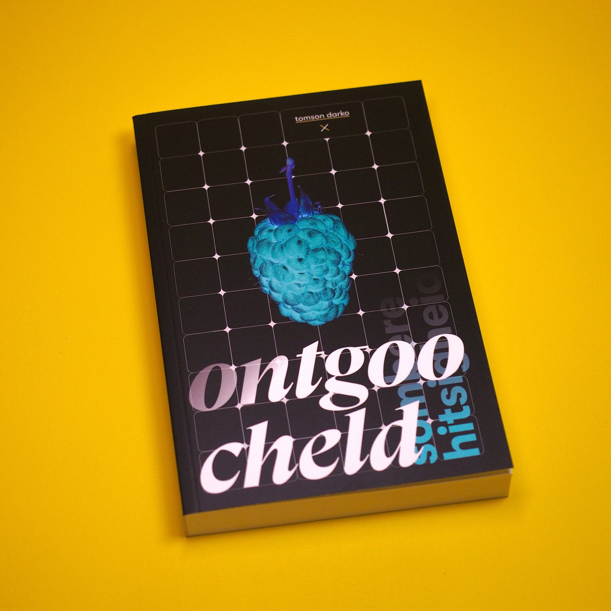 Boek - Sombere hitsigheid: Ontgoocheld