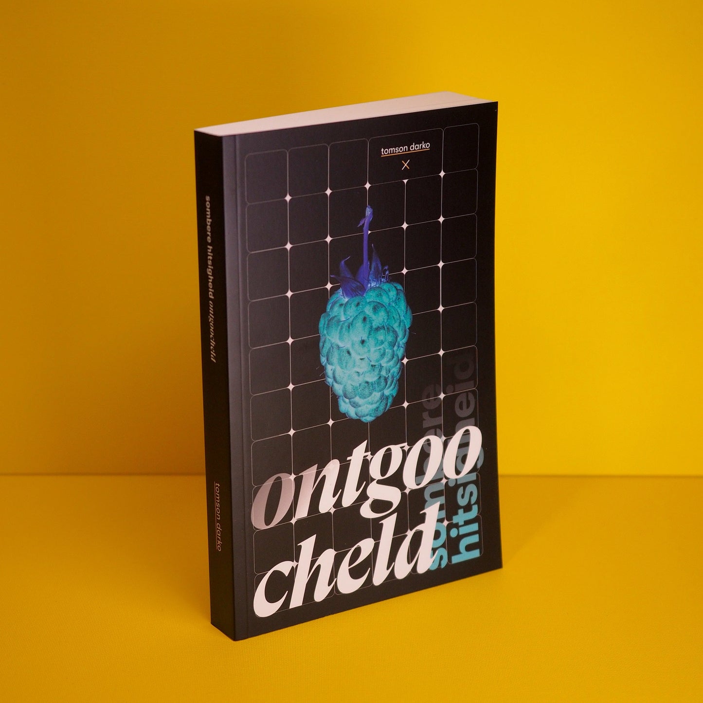 Boek - Sombere hitsigheid: Ontgoocheld