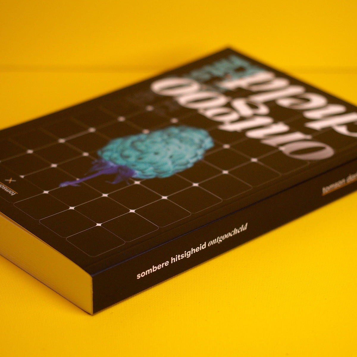 Boek - Sombere hitsigheid: Ontgoocheld